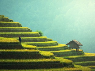 農(nóng)村環(huán)境“大變樣” 繪就康莊美麗鄉(xiāng)村新畫卷