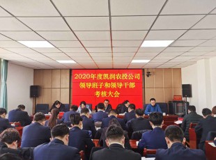 臨夏州凱潤農(nóng)牧投資發(fā)展集團(tuán)有限公司 召開2020年度領(lǐng)導(dǎo)班子和領(lǐng)導(dǎo)干部考核大會